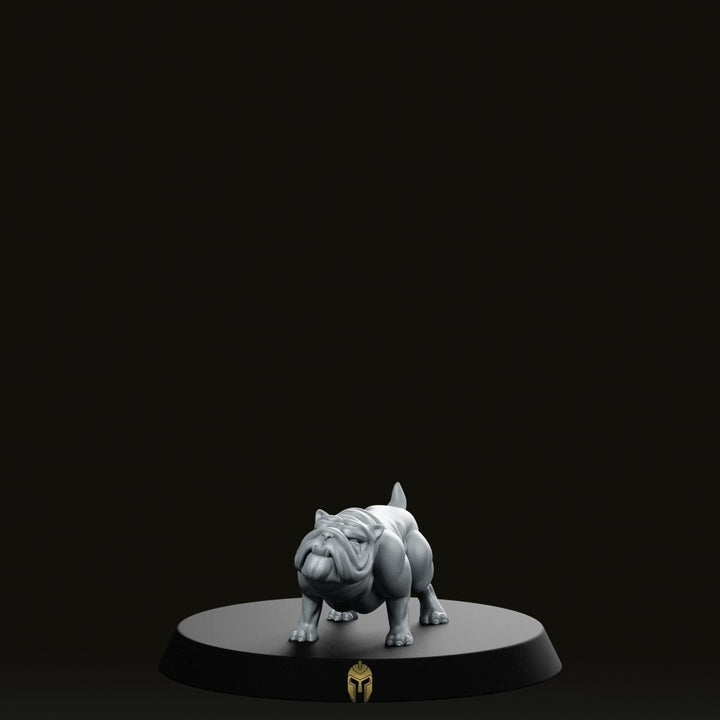Pug Companion Pet Miniature Fantasy DnD Dog Familiar