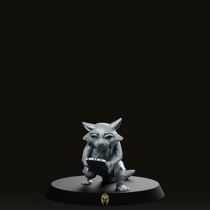 Mapache Rakoun B Miniatura Compañero Astuto