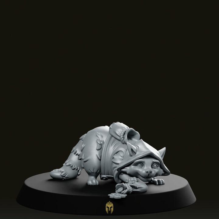 Racoon Rakoun Explorer B Miniature Hooded Adventurer Companion