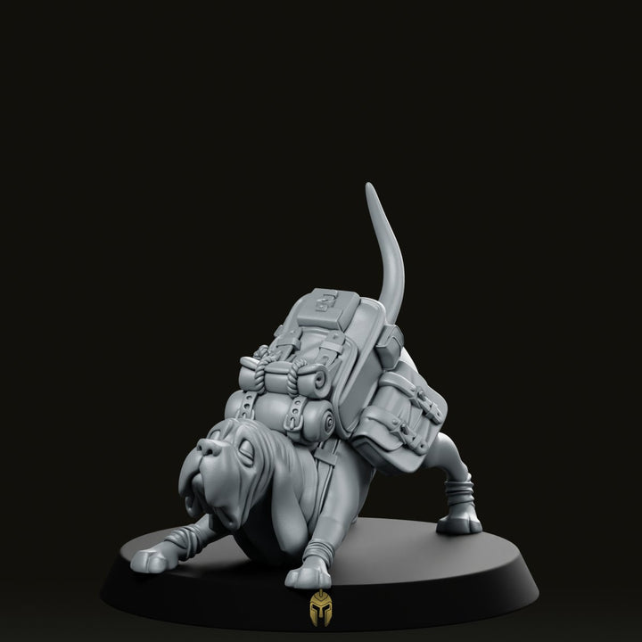 Trench Soldier Sabus Explorer A Miniature Dog Companion