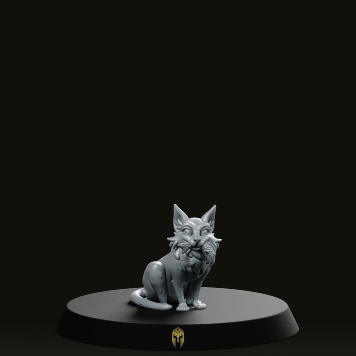 Siams Siamese Cat Bare B 2, miniatura fantasy di gatto siamese