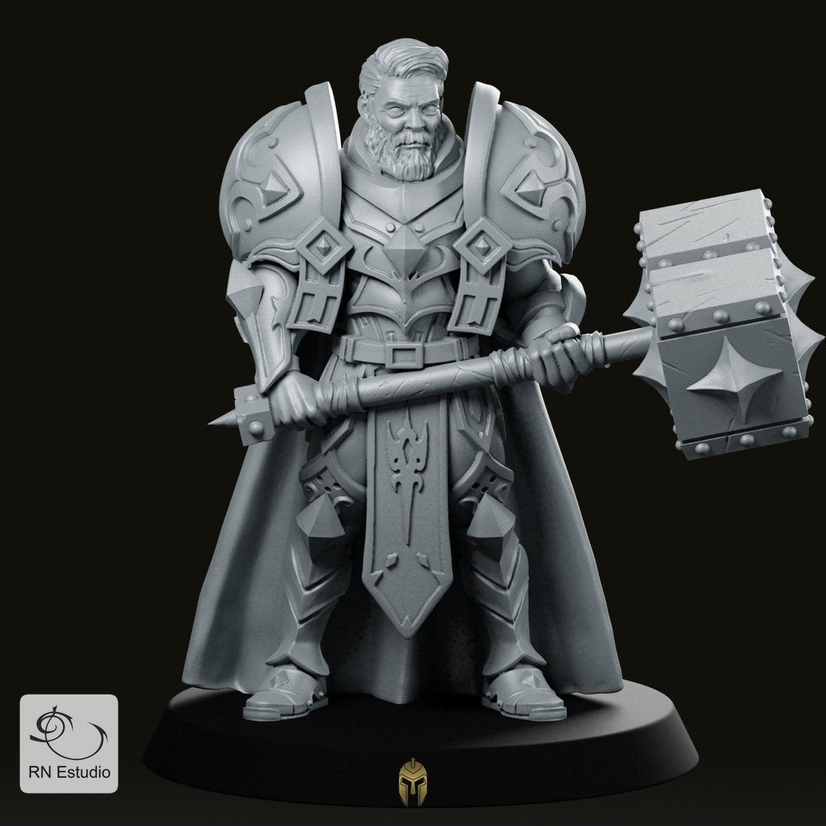 Sir Warrick the Paladin Miniature - We Print Miniatures -RN Estudio