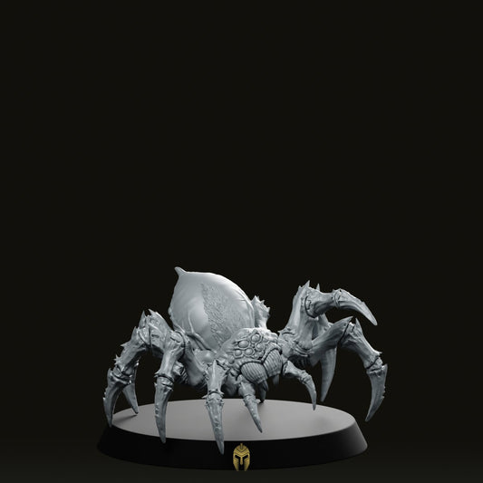 Spider Giant C - We Print Miniatures -DungeonDog