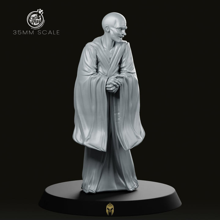 The Counsellor Fantasy Miniature Calm Advisor NPC Human