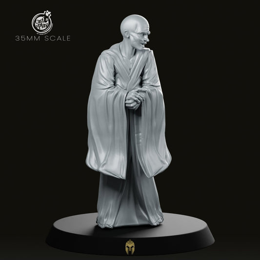 The Counsellor Miniature - We Print Miniatures -CastNPlay