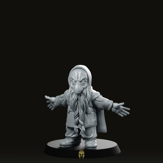 Thorin Miniature - We Print Miniatures -RN Estudio
