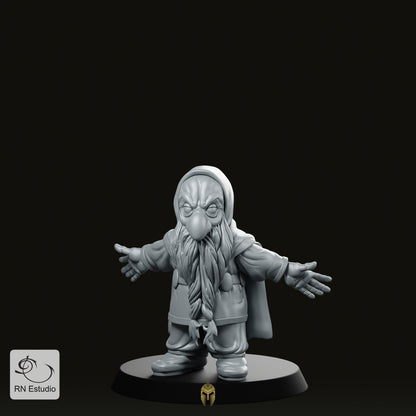 Thorin Miniature - We Print Miniatures -RN Estudio