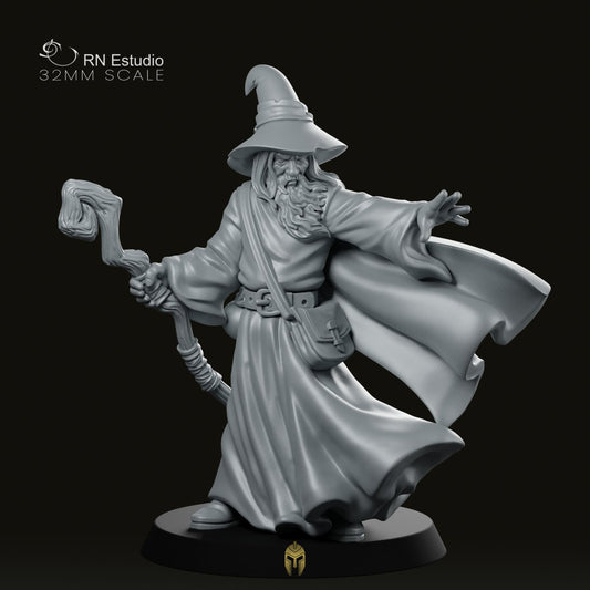 Wizard Amlund Maegon Miniature - We Print Miniatures -RN Estudio