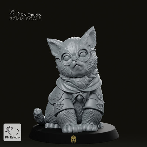 Wizard Gaton Mage Cat Miniature - We Print Miniatures -RN Estudio