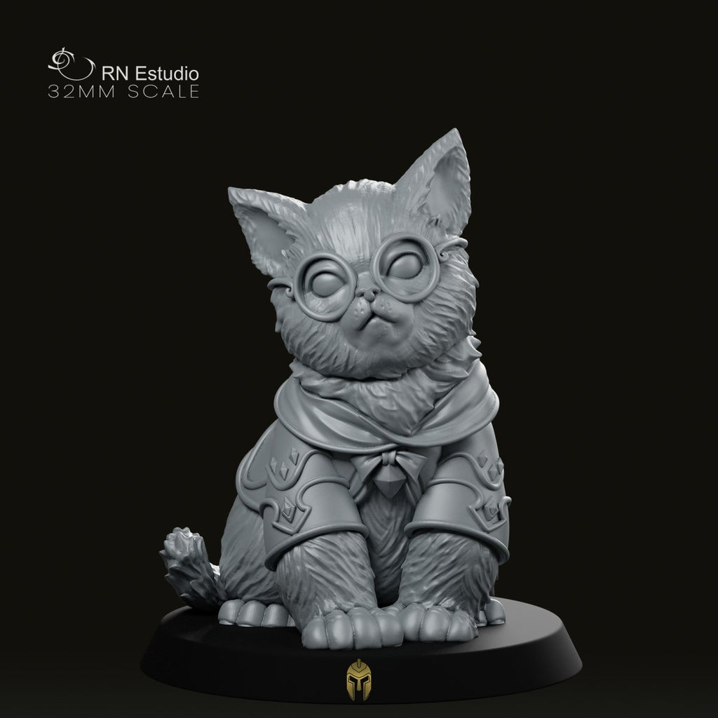 Wizard Gaton Mage Cat Miniature
