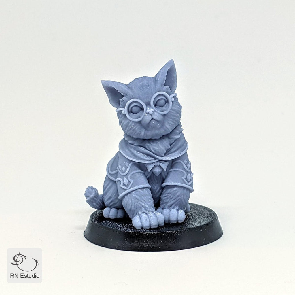 Wizard Gaton Mage Cat Miniature - We Print Miniatures -RN Estudio